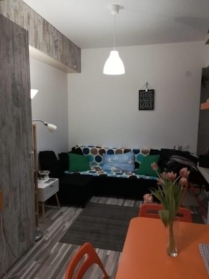 Garsonieră decomandată în Palat