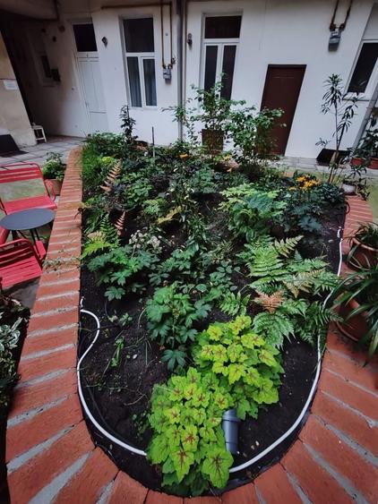 Apartament 2 camere pe strada Horea in Cluj Napoca - 1