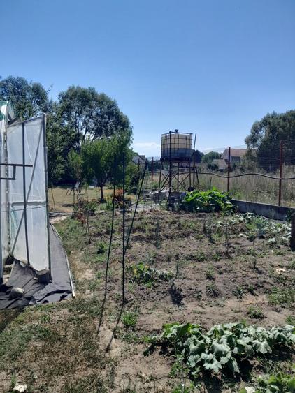 Teren de 1000 mp, în Sadu