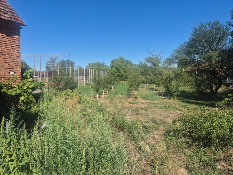 Vand casa in localitatea Belotint, judetul Arad - 5