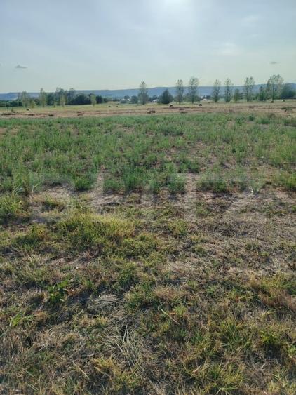 Teren Construcții intravilan de 2895 mp, în Romanești