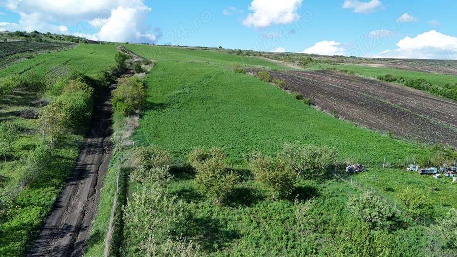 Teren de 3600 mp, în Central