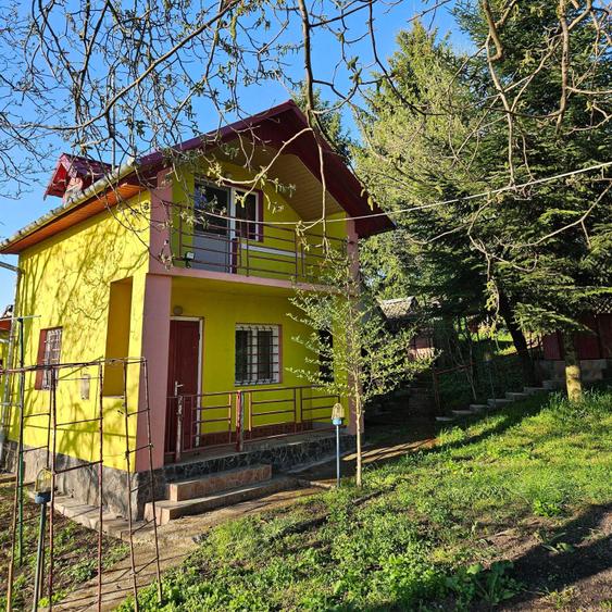 Casă cu 2 camere în Ațintiș
