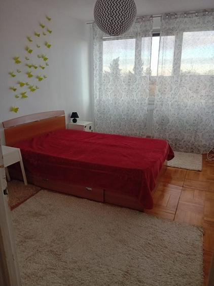 Apartament cu 2 camere semidecomandat în Șagului