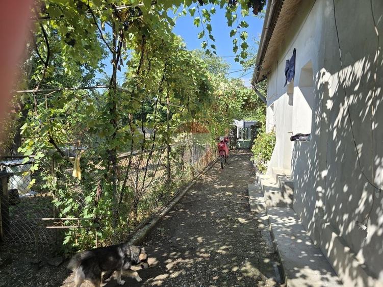 Casă individuală cu 3 camere cu Teren 900 Mp în Brâncoveanu