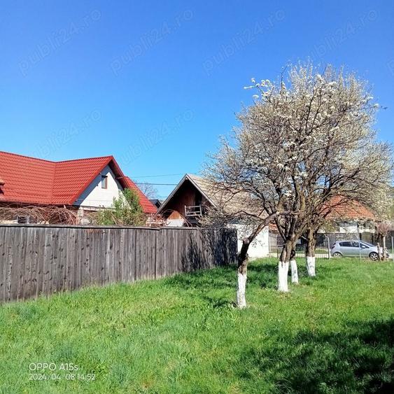 Teren de 2030 mp, în Tărlungeni