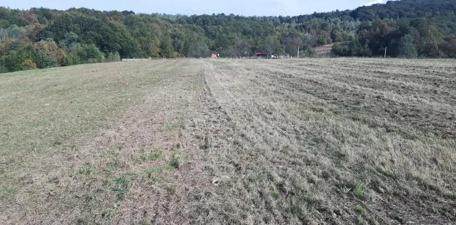 Teren de 7000 mp, în Negreni