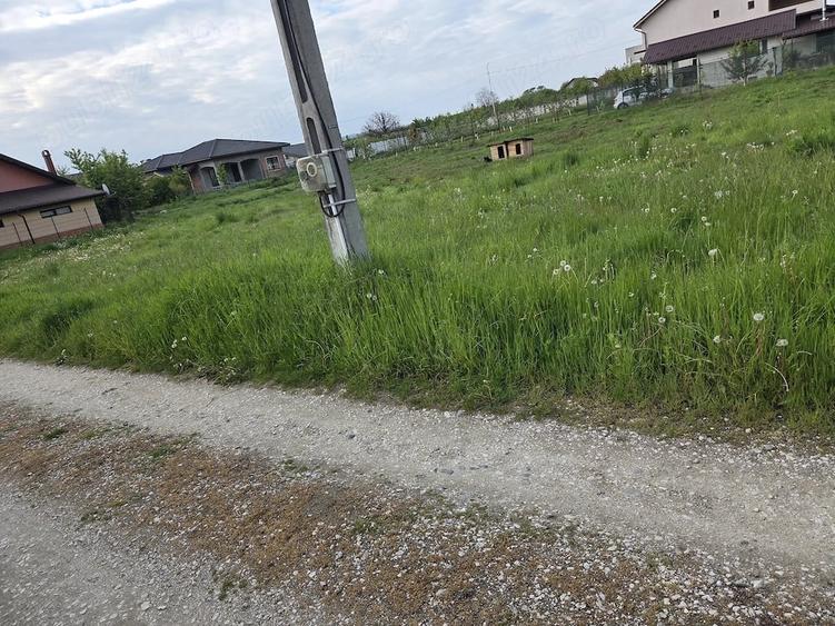 Teren de 739 mp, în Bogdănești (Bujoreni)