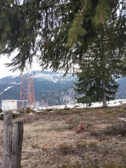 Teren de 5000 mp, în Vârtop