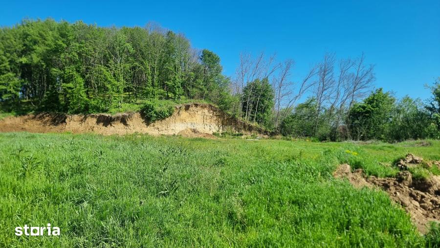 Teren de 500 mp, în Bascov