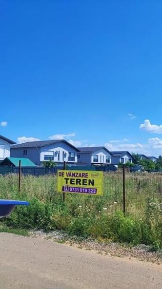 Vand teren 10.000 mp Orientului - Tunari - 1