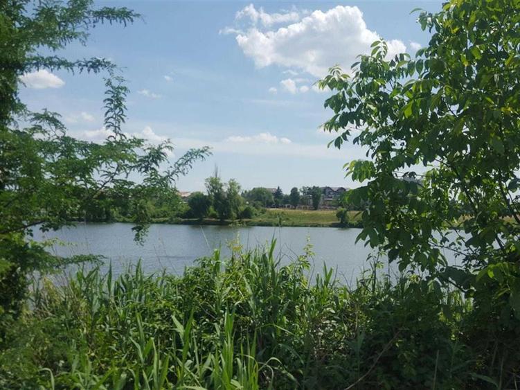 Teren intravilan de 5000 mp, în Băneasa