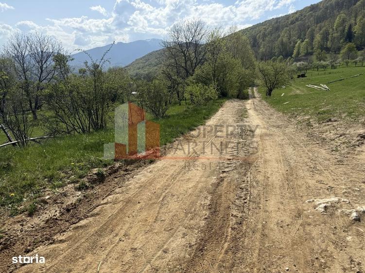 Spațiu comercial, în Bran