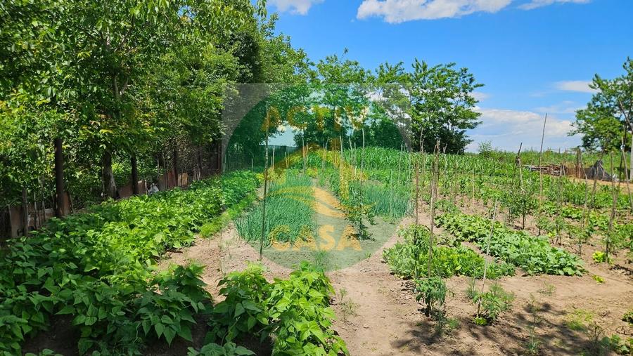 Casă cu 6 camere cu Teren 2000 Mp în Est