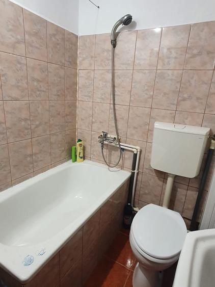 Garsonieră decomandată, mobilată în Alexandru cel Bun
