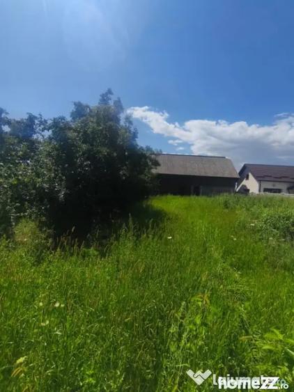 Teren de 10000 mp, în Măneuți