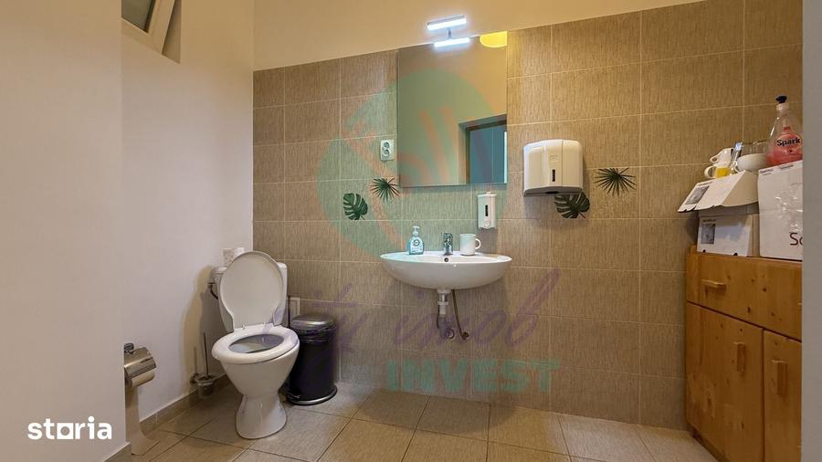 Gradina Icoanei vila cu poten?ial multiplu - 2