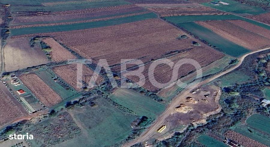 Teren de vanzare 8700 mp cu un front de 30m in Sura Mare - 5