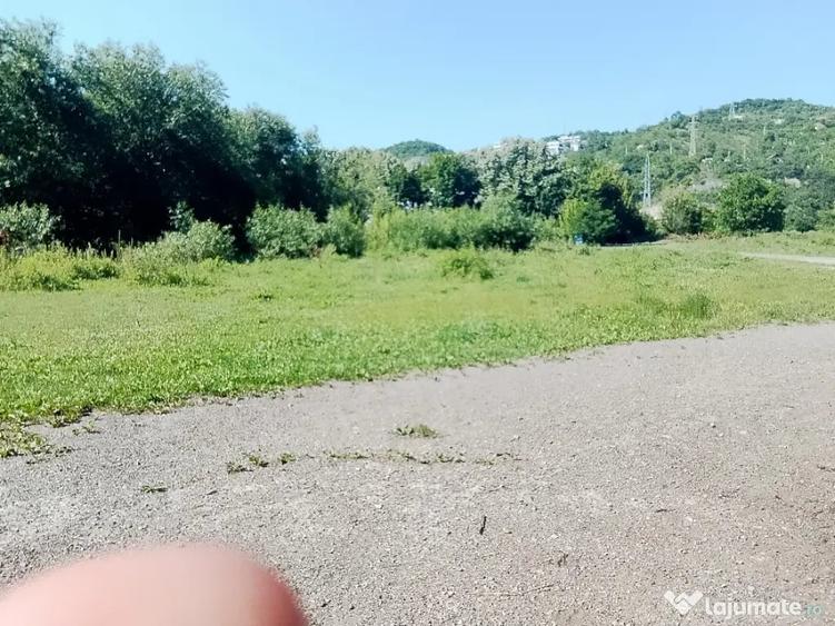 Teren extravilan Luna de Sus Cluj Floresti 1400mp - 14