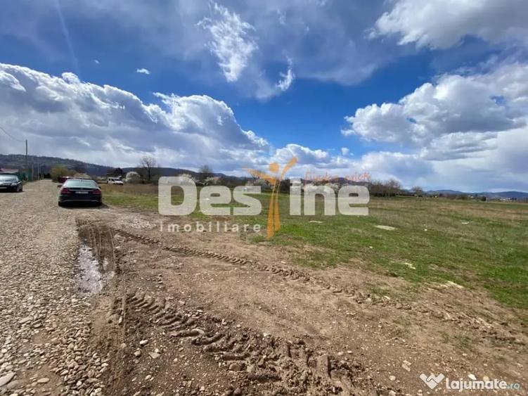 Teren în Dumbrava