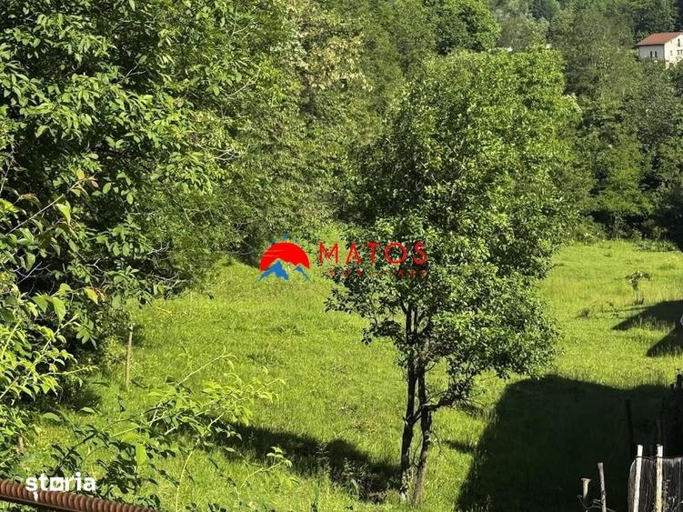 Teren de 3526 mp, în Poiana