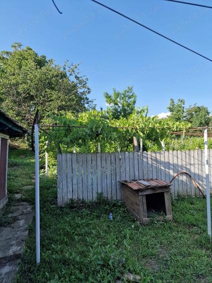 Casă cu 2 camere în Cozia