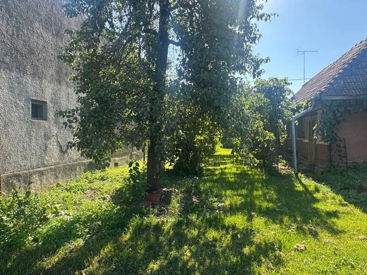 Casă cu 2 camere cu Teren 2100 Mp în Luna