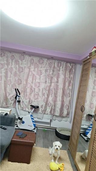 Apartament cu 2 camere semidecomandat, mobilat în Șagului
