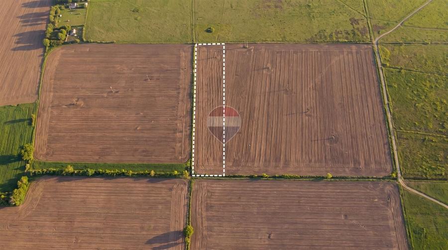 Teren agricol extravilan de 12500 mp, în Dumbrava