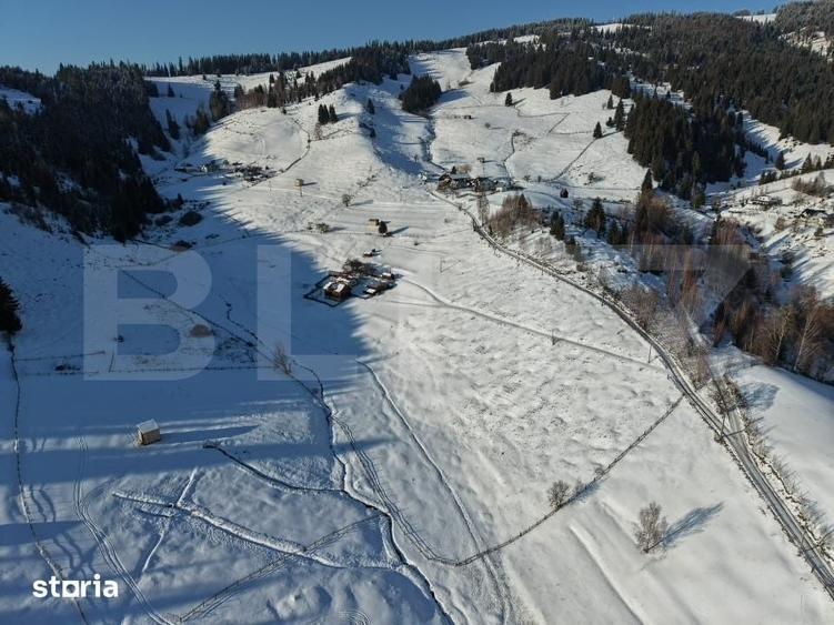 Teren de 36000 mp, în Bosanci