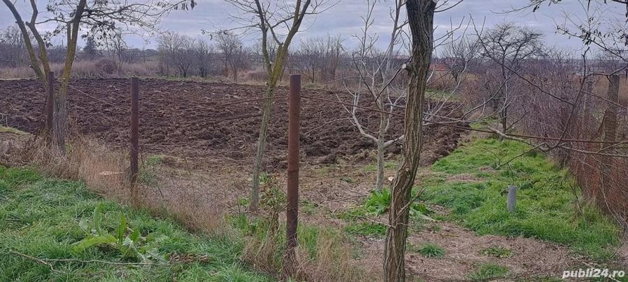teren intravilan de vanzare - 4