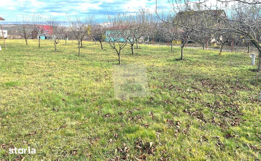 Teren intravilan 1000 mp utilitati Daia Noua 10 minute de Sibiu - 6