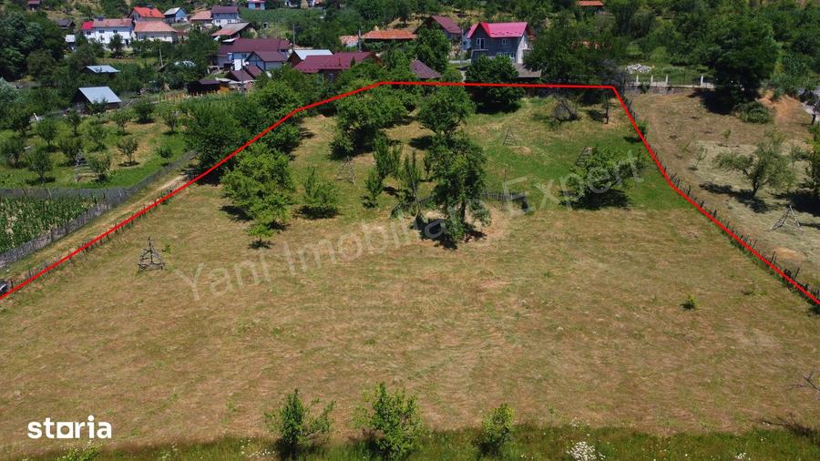 Teren de 6041 mp, în Cicănești