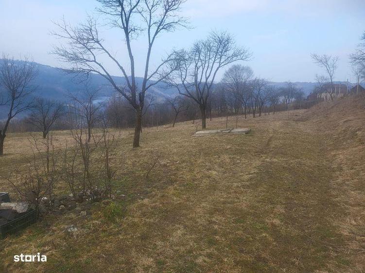 Teren de 5976 mp, în Moisei