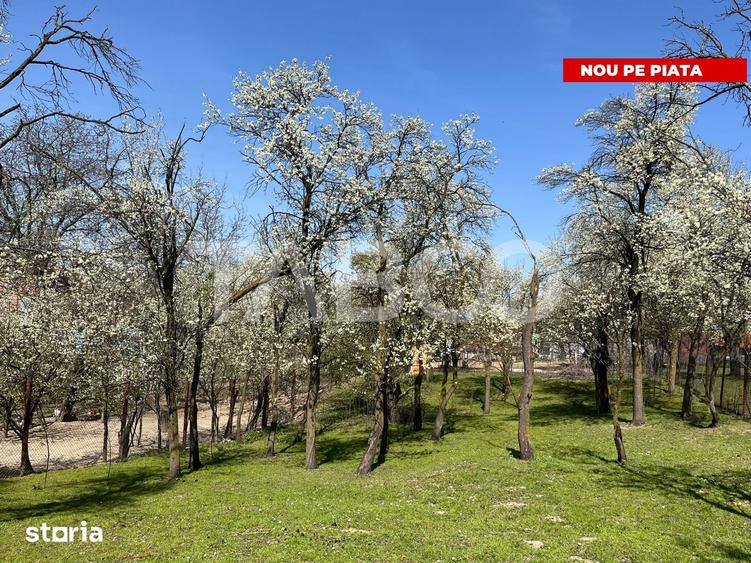 Teren de 789 mp, în Poplaca