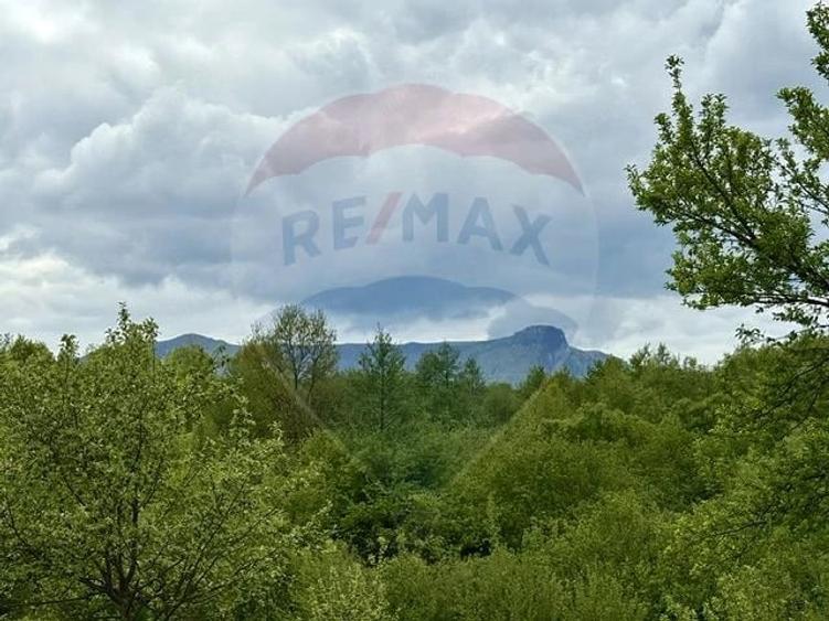 Teren de 20876 mp, în Breb