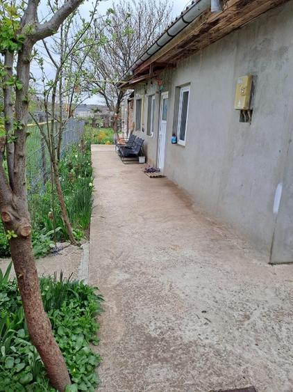 Casă individuală cu 3 camere cu Canalizare în Limanu