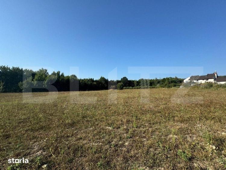 Spațiu comercial, în Dărmănești