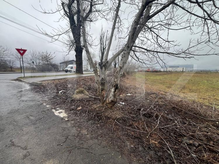 Teren agricol extravilan de 1578 mp, în Micro 11