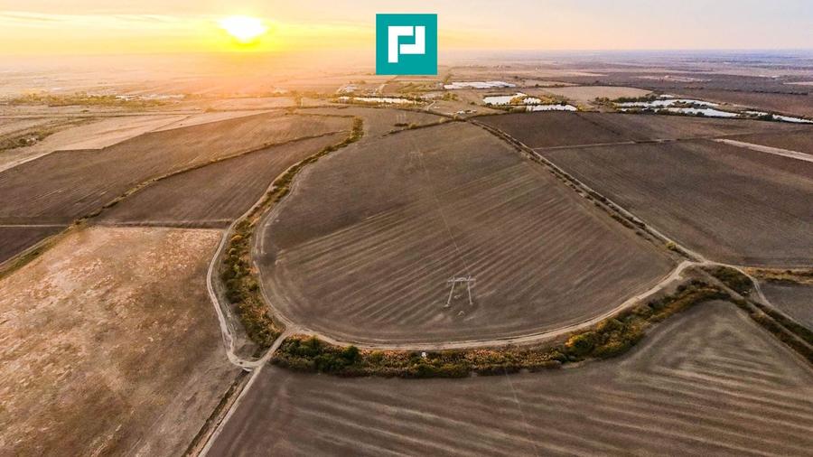 Teren agricol extravilan de 68800 mp, în Zimandu Nou