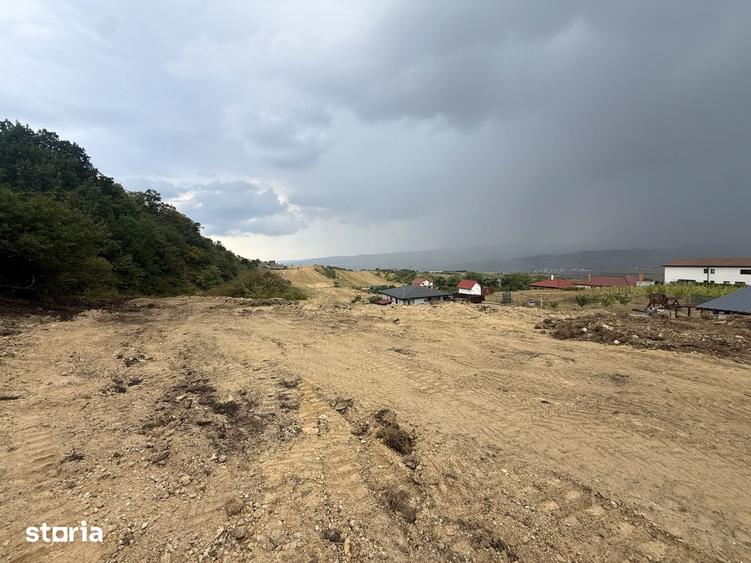 Teren de 1200 mp, în Baciu