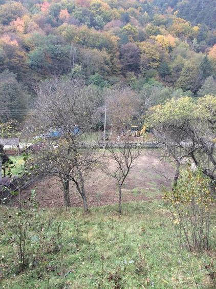 Teren în Sibișel (Beriu)