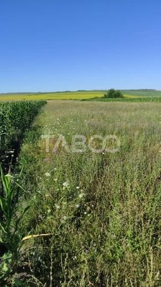 Teren agricol extravilan de 25920 mp, în Șura Mică