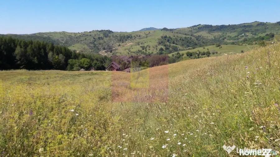 Teren de 9037 mp, în Plaiul Tălii