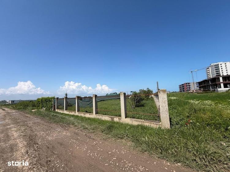 Teren Intravilan 1247 Mp - Palazu Mare - 3