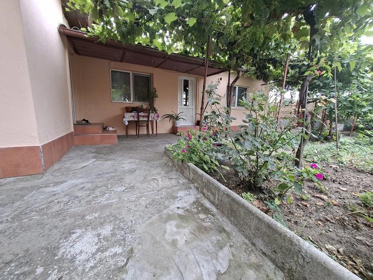 Casa Viile Noi,proprietar - 9