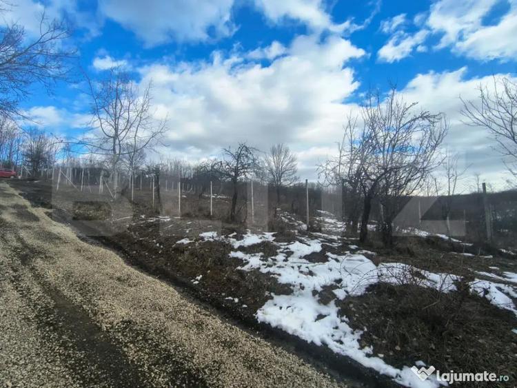 Teren în Păulești