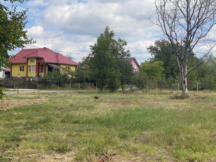 Teren de 1450 mp, în Satu Nou de Jos