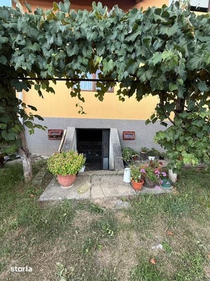 Casă cu 4 camere cu Teren 168 Mp în Șișești