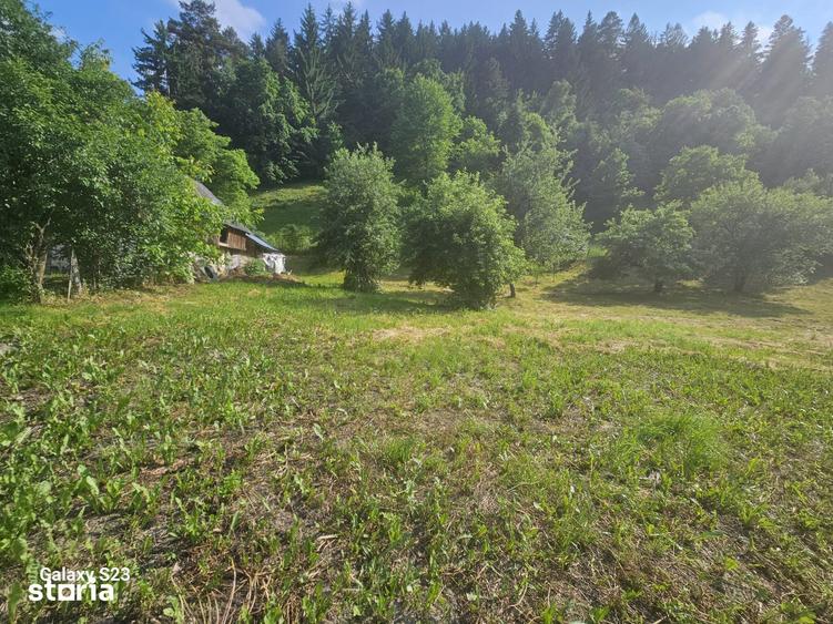 Teren de 1000 mp, în Alexandru cel Bun